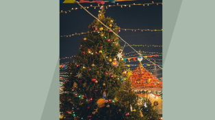 Выбросили ёлку? Платите штраф до 5 000 рублей