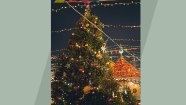 Выбросили ёлку? Платите штраф до 5 000 рублей