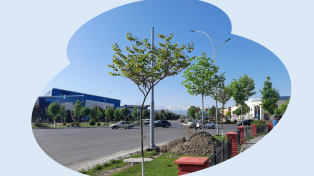 Садись, два: как будут начислять штрафные баллы водителям по новой системе?