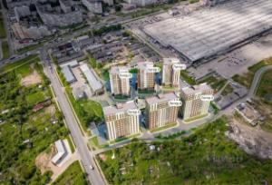 Slide 8