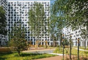 Slide 7