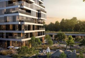 Slide 6