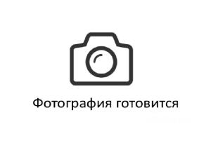 Slide 7