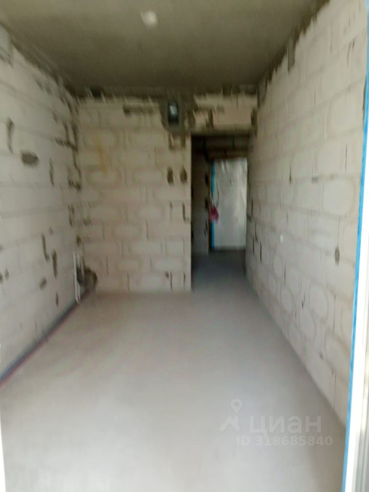 Slide 5