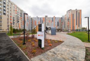 Slide 8