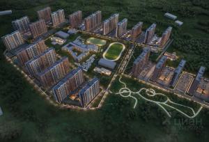 Slide 12