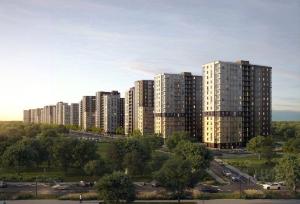 Slide 8