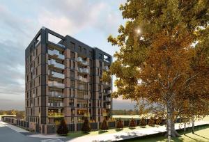 Slide 1