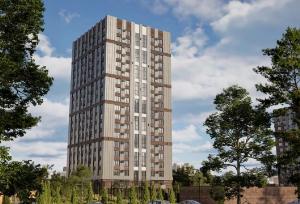 Slide 8