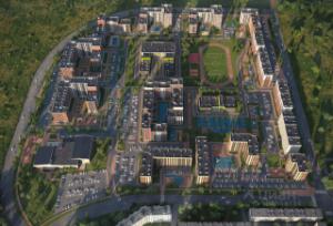 Slide 12