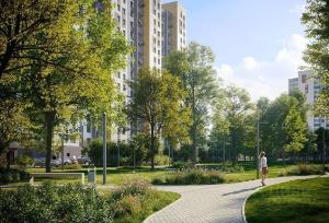 Slide 6
