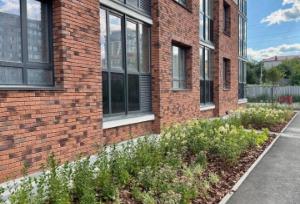 Slide 6