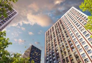 Slide 8