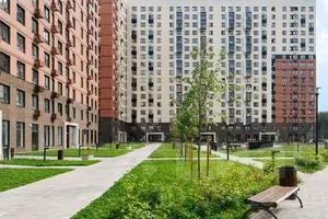 Slide 8