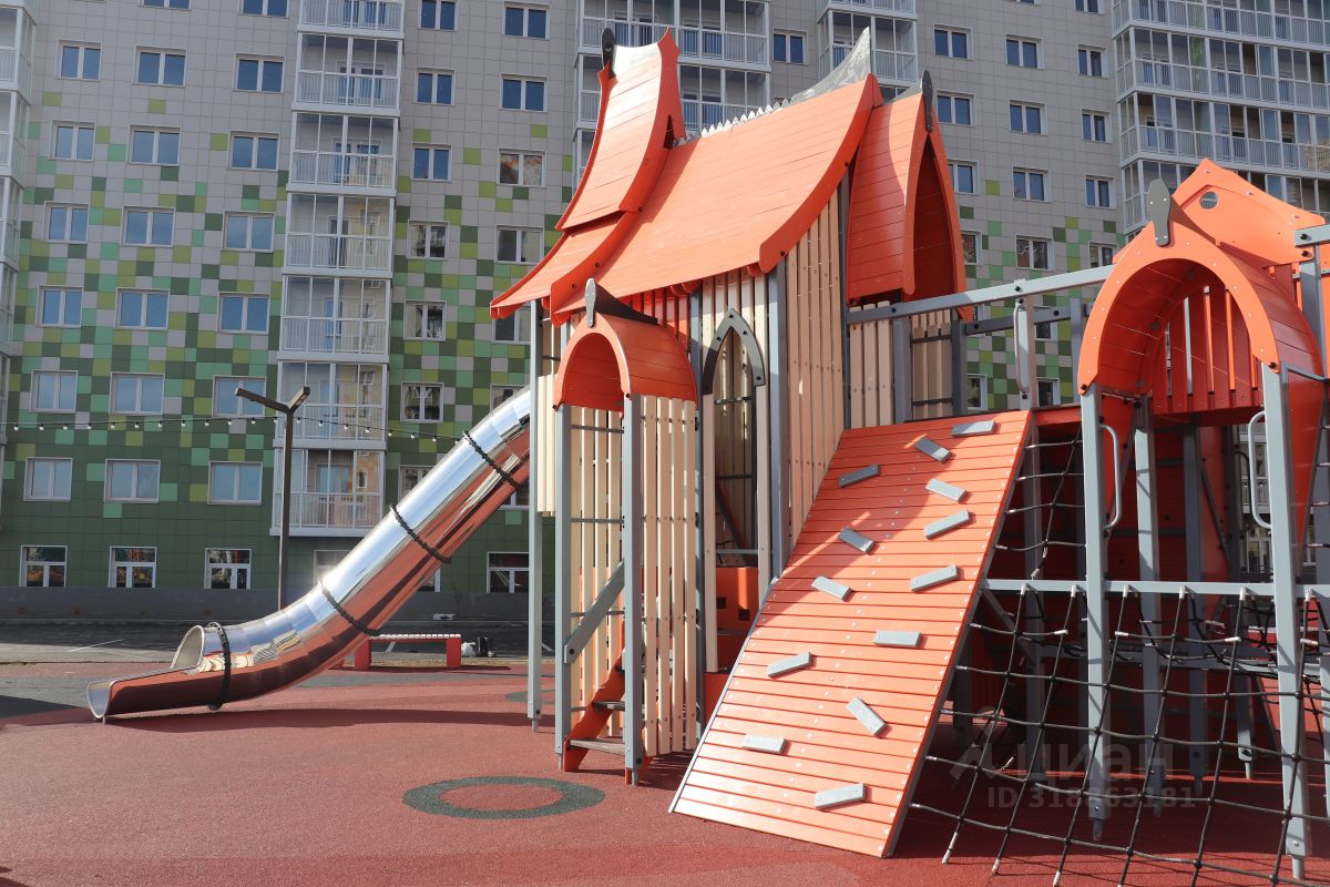 Slide 5