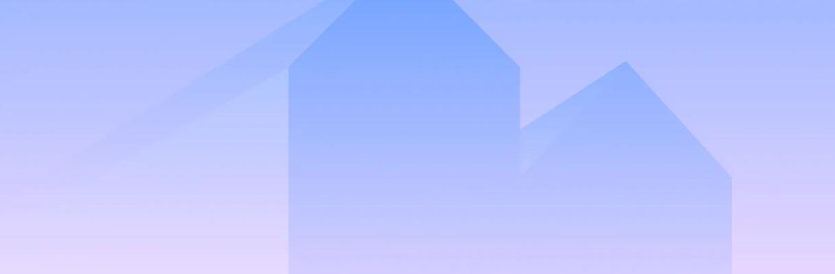 developer