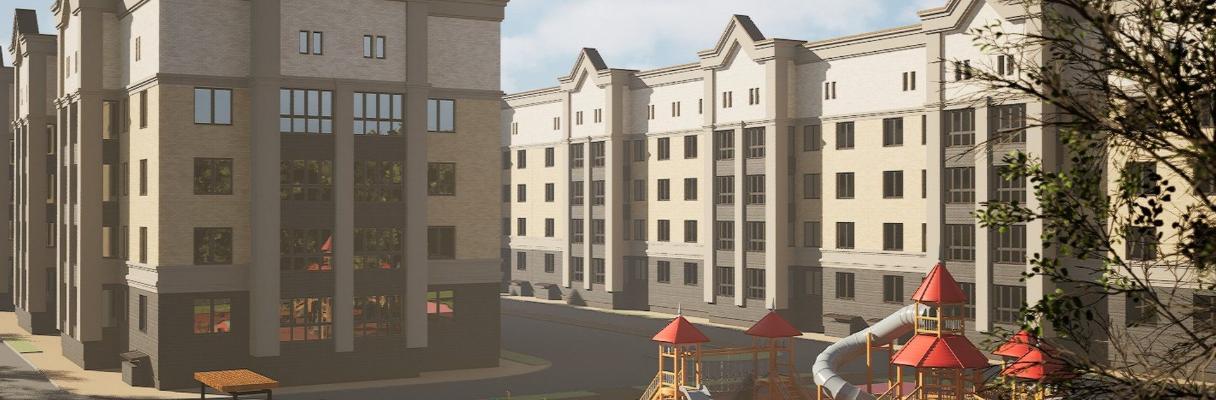 developer