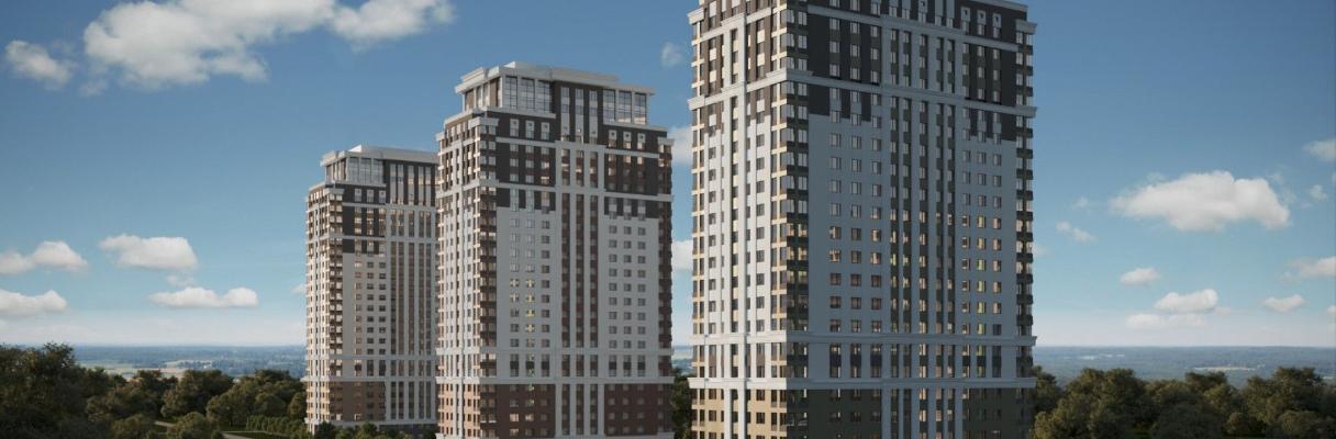 developer