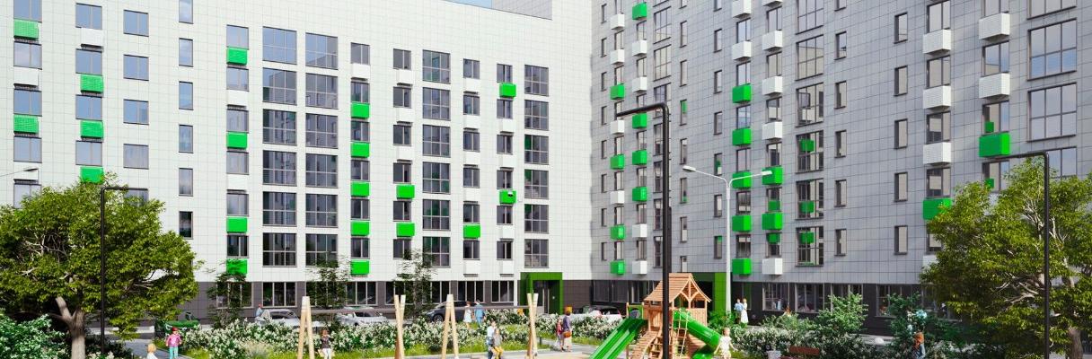 developer