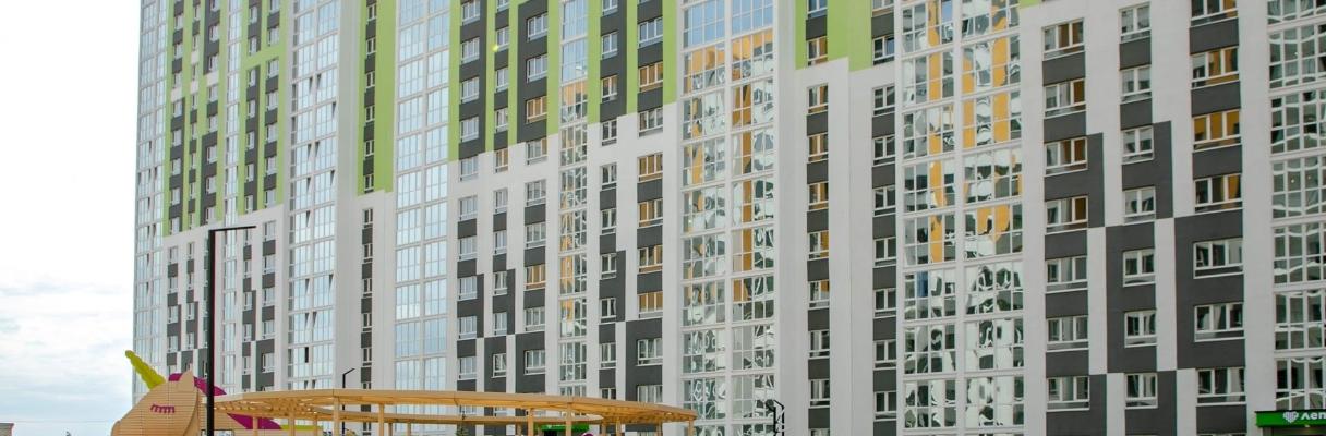 developer