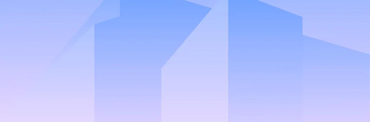 developer