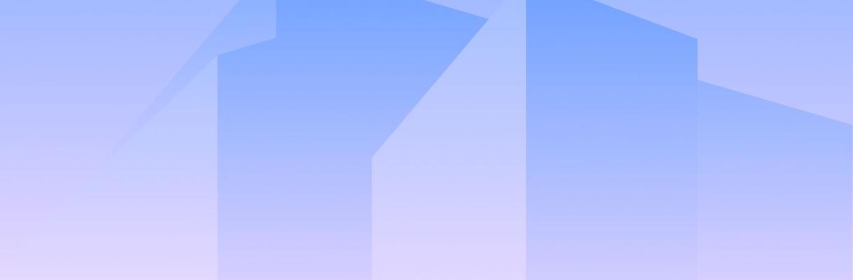 developer