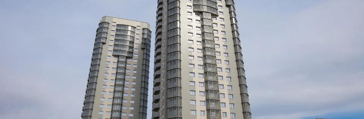 developer