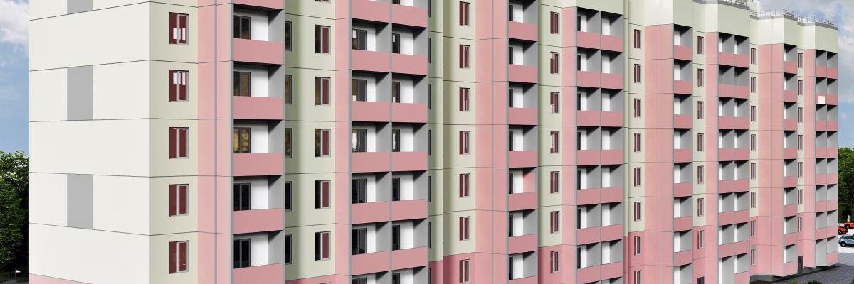 developer