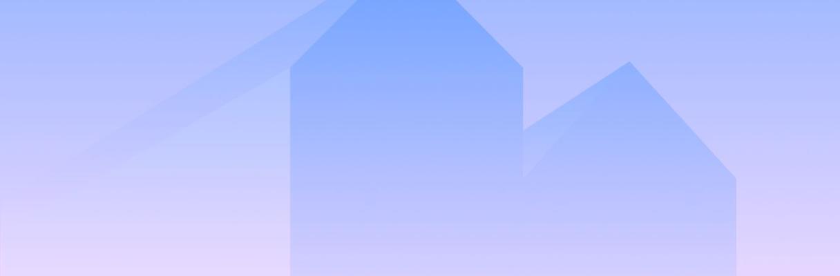 developer