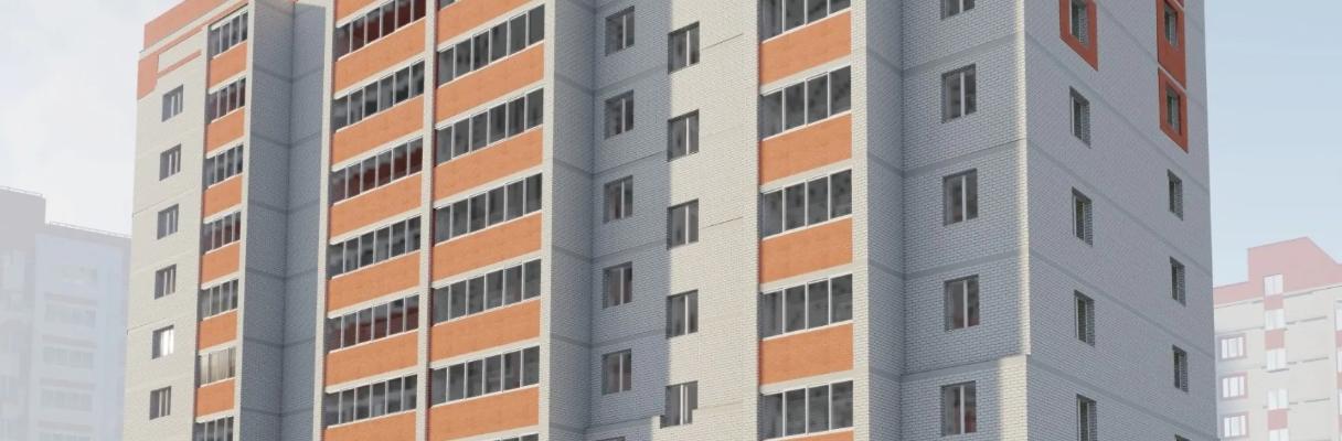 developer