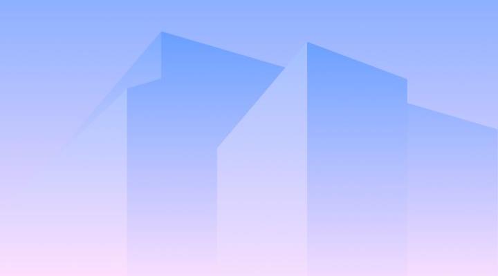 developer