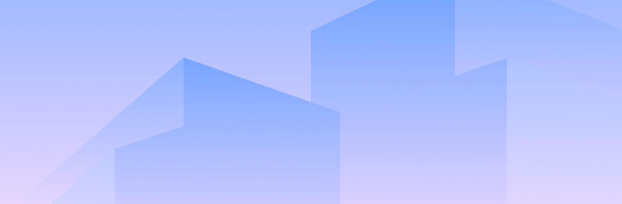developer
