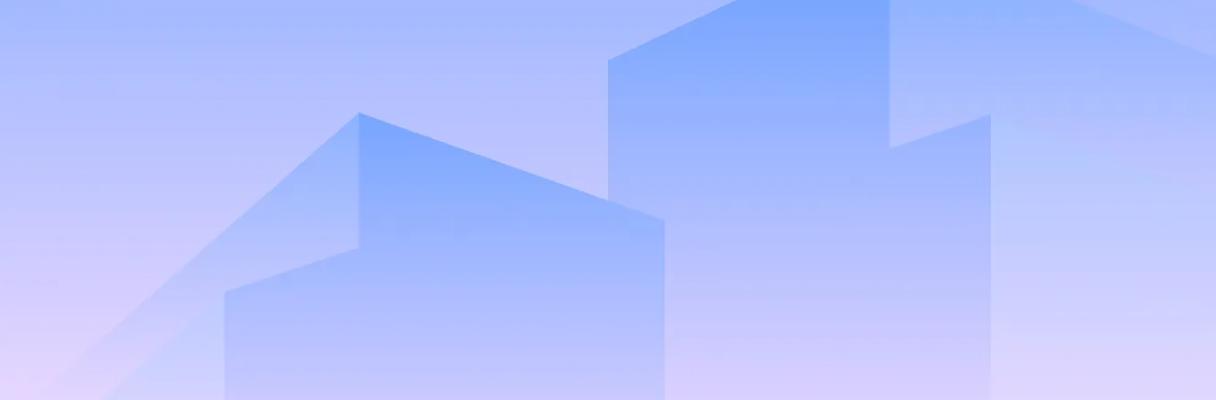 developer