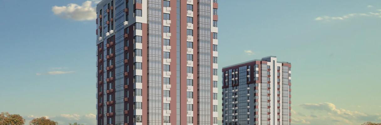 developer