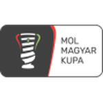 Флаг лиги