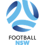 Флаг лиги
