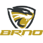 Сельмы Брно (ж)