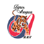 Тигрес де Арагуа