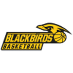 Gussing Blackbirds