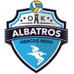 Albatros W