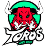 Toros del Valle