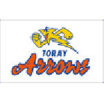 Toray Arrows