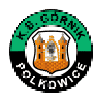Гурник Польковице