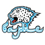 Барыс