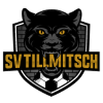 Тильмич