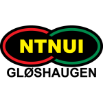 НТНУИ