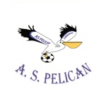Pelican Lambarene