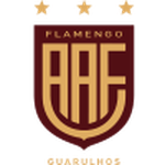 Фламенго СП U20