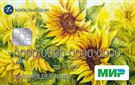 Карта быстрой выдачи Social card
