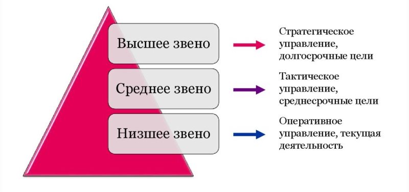 Профессии, связанные с менеджментом (управлением)